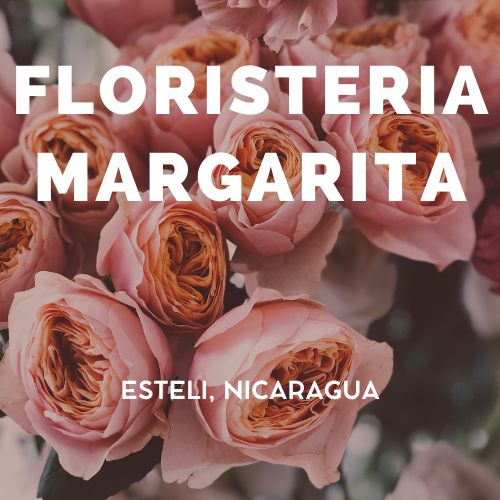 FLORISTERIA-MARGARITA