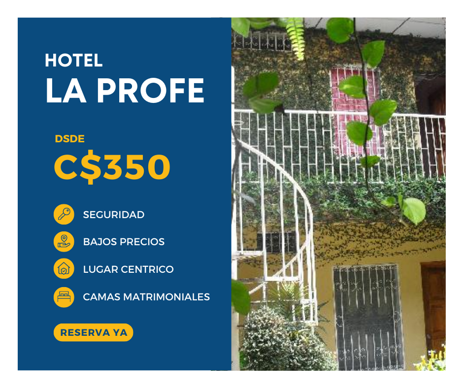 Hotel La Profe